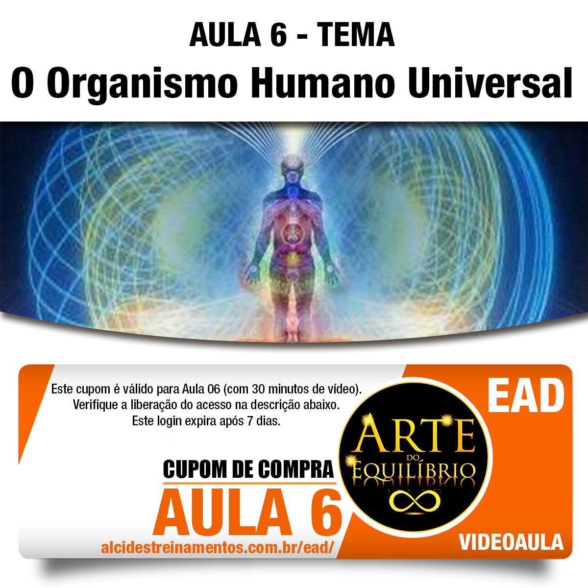 Cupom de Compra Vídeo-Aula: Arte do Equilíbrio - AULA 6