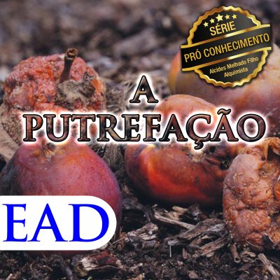 Cupom de Compra Vídeo-Aula: A Putrefação