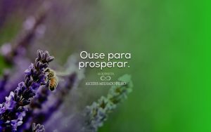 Ouse para prosperar