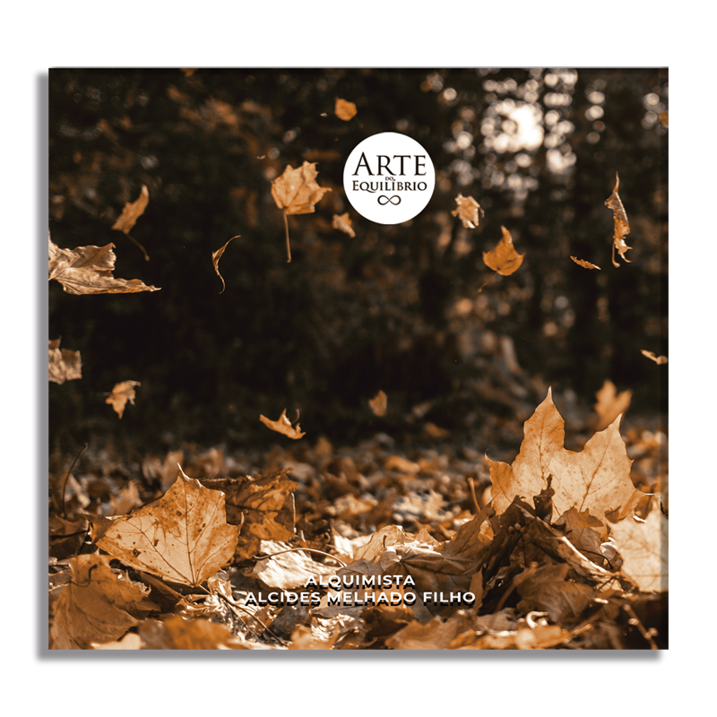 CD de Meditação – No Ritmo da Alquimia (Volume II) - Imagem 2