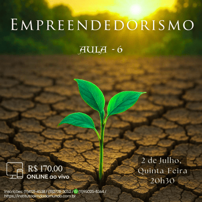 Curso Online e ao Vivo: Empreendedorismo - Aula 6 (Julho)